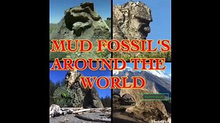 Mud Fossils Compilation🗿