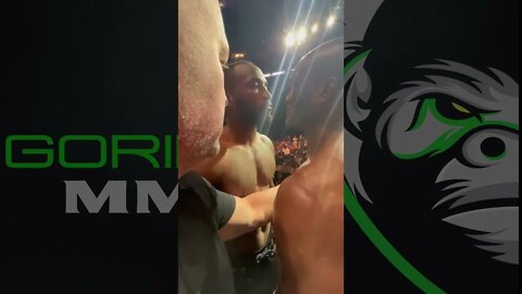 Kamaru Usman vs Leon Edwards 2: UFC 278 Face-off
