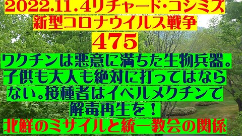 2022.11.04 リチャード・コシミズ新型コロナウイルス戦争４７５