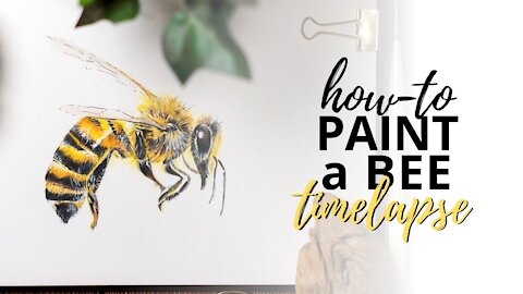 How to Paint a Honey Bee