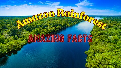 Amazing Facts About The Amazon Rainforest
