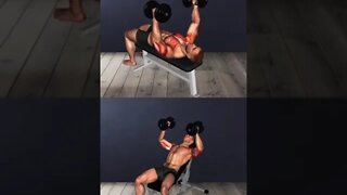 Chest workout routine