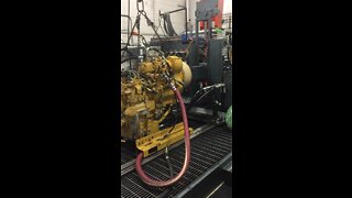 Cat trans on the dyno