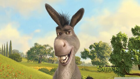 Funny Donkey 🐴 Funny Animals🐷