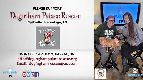 Paw Pals TV: Kat Lloyd with Jo Jarvis of Dogingham Palace Rescue in TN
