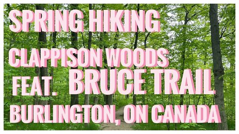 Clappison Woods | Burlington, ON 🇨🇦 | Hiking | Relive Hiking |feat Bruce Trail | Spring Nature| 4K