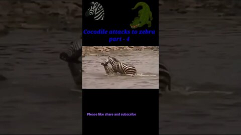 Cocodile attack to zebra 🦓 part - 4 #shorts #shortvideo #youtubeshorts