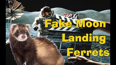 Fake Moon Landing Ferrets With BONUS Live Dog Attack!