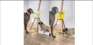 A Dog Paints On A Canvas