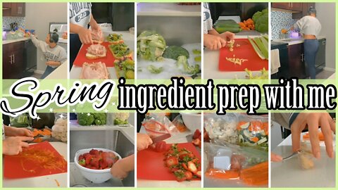 *SPRING* INGREDIENT & PRODUCE PREP W/ ME 2022 | HOW TO CLEAN PRODUCE | SATISFYING CHOPPING |ez tingz