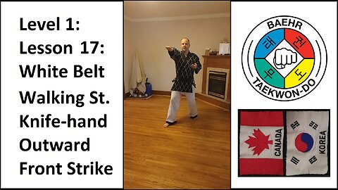 Baehr Taekwondo: 01-17: White Belt: Walking Stance - Knife-hand Outward Front Strike