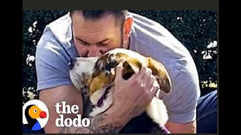 Scared Dog Melts Into His New Dad's Arms | The Dodo