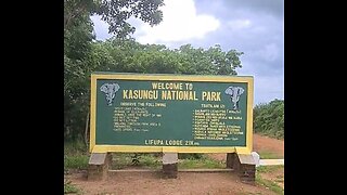 Elephants @ Kasungu National Park|Lifupa camp|Malawi
