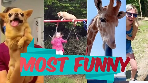 Funny And Cute Animal Videos Try Not To Laugh Or Smile | most funny videos