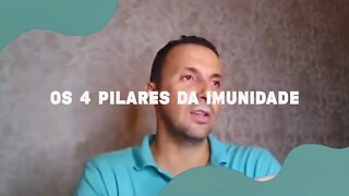 OS 4 Pilares da Imunidade