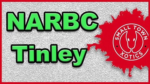 NARBC Tinley Snakes!!!