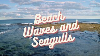 Crashing Beach Waves and Seagulls White Noise - [Sleep, Relaxation, and Concentration]