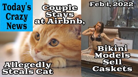 Today's Crazy News - Bikini Models Sell Caskets, Cat Stolen From Airbnb
