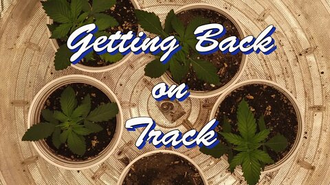 Getting Back on Track #MarsHydro #TSW2000