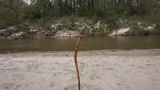 The Walking Stick: Useful Tool and Companion