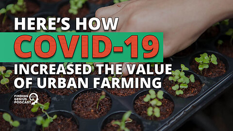 Here’s How COVID-19 Increased the Value of Urban Farming 🥬