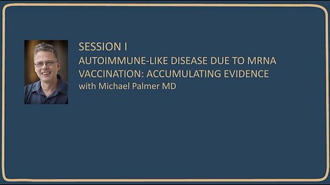 Doctors for Covid Ethics V - Session 1 - Michael Palmer MD - Blood Vessels