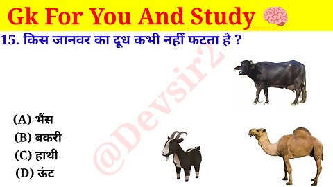 किस जानवर का दूध कभी नहीं फटता है? ‎@Crazy GkTrick #gkquiz #gk #gkinhindi #gkfacts ‎