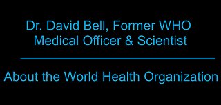 Who are the World Health Organization?