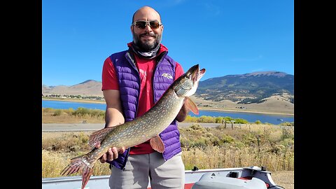 Big Northern Pike on a Trout Fly?? Eagles Nest, NM - Spoonplugging