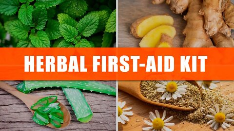 5 Plants to Have for Your Herbal First Aid Kit