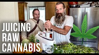 Juicing Raw Cannabis for Full Body Healing | Holistic Health