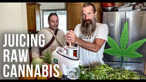 Juicing Raw Cannabis for Full Body Healing | Holistic Health