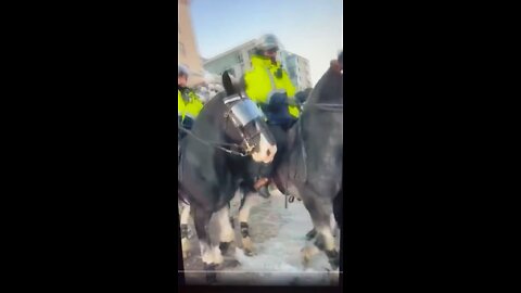 Trudeau Sends Horses Into The Crowd.