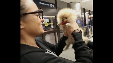 SOMMER RAY PICKING UP THE CUTEST PUPPY EVERRR