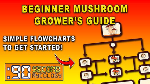 Absolute Beginner Mushroom Grower's Guide \\ Flowcharts to Get Started!