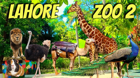 LAHORE ZOO 2