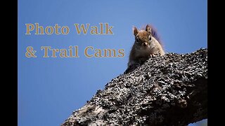 Surviving Together Ep. 13 - Photo Walk & Trail Cams