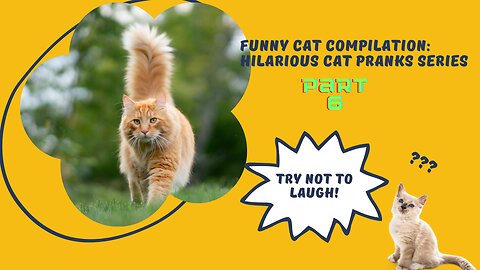 Funny Cat Compilation: Hilarious Cat Pranks Series - Part 6