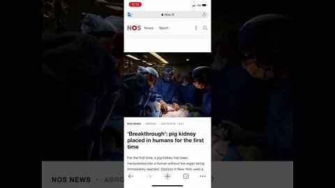 GMS NEWS UPDATE: PIG TO HUMAN KIDNEY TRANSPLANT 🐷