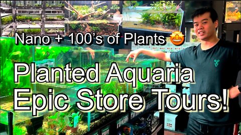 Epic #StoreTour - Planted Aquaria Oakville - Pet Store Tour!!! #AquaMalik #Fish #Aquariums #pets