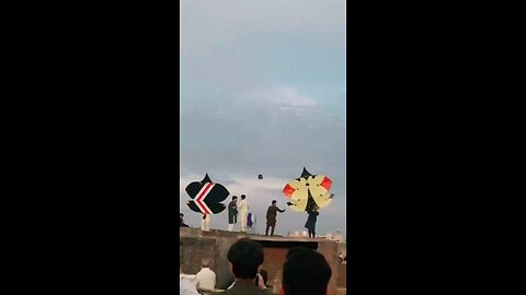 Basant moments #kite #patang #kiteflying #kitevideo
