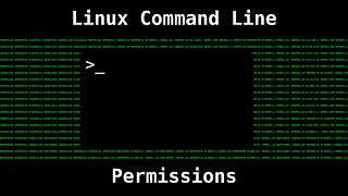 Linux File Permissions