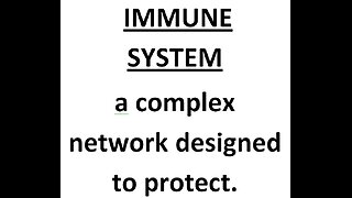 The Immune "System"