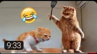 Most Trending Animal Videos - Funniest Cats and Dogs 2023 |