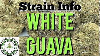 White Guava, Weed Review