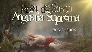 ROSA DE SARON (ANGÚSTIA SUPREMA | 1997) 01. VIA CRUCIS ヅ