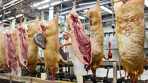 Million Dollars Pork Processing Technology - Modern Pig Farming | Food Factory