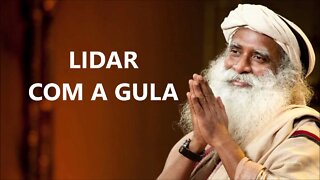 COMO MUITO O QUE DEVO FAZER, SADHGURU, DUBLADO