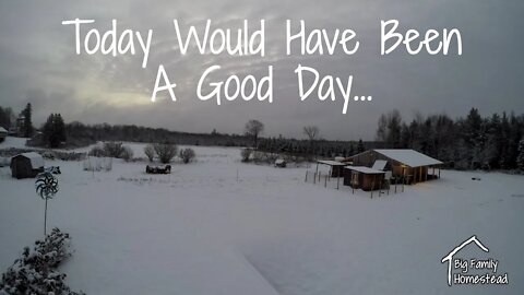 TODAY Would Have Been A GOOD Day | Big Family Homestead