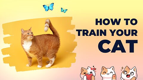 how to train your cat part 1